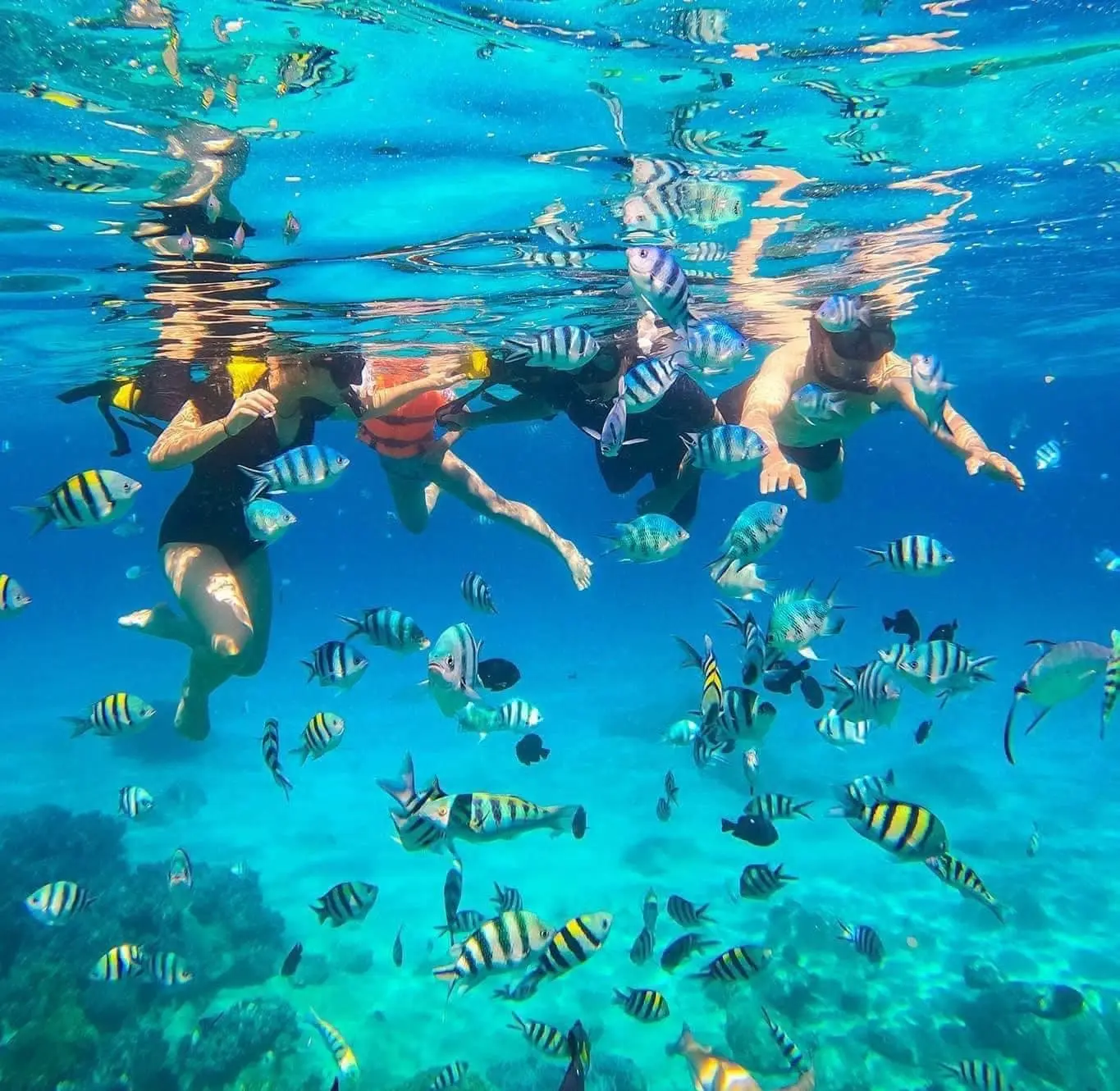 Tour đảo vip Hòn Mun - Hòn Tằm