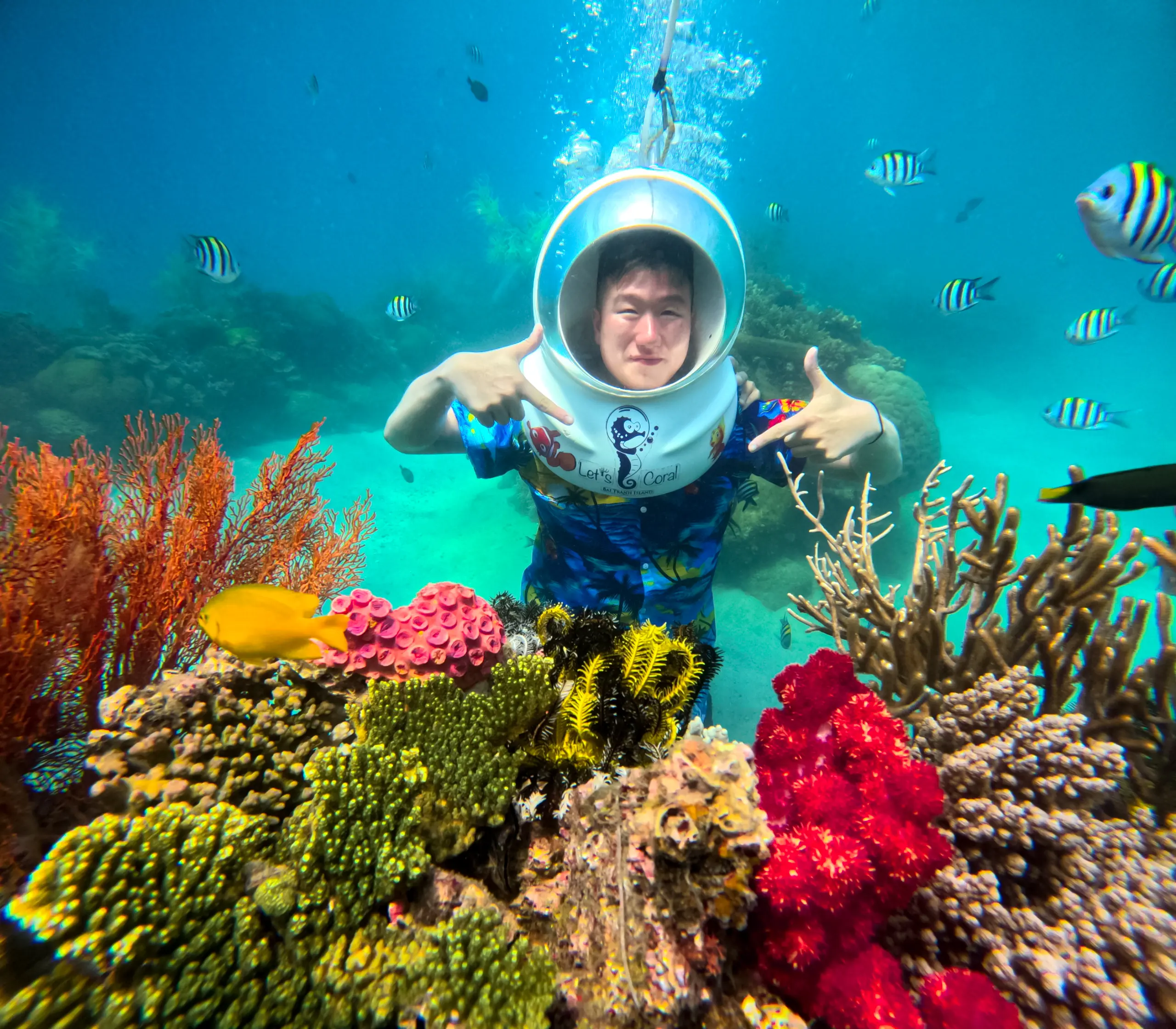 Tour đi bộ dưới đáy biển Nha Trang