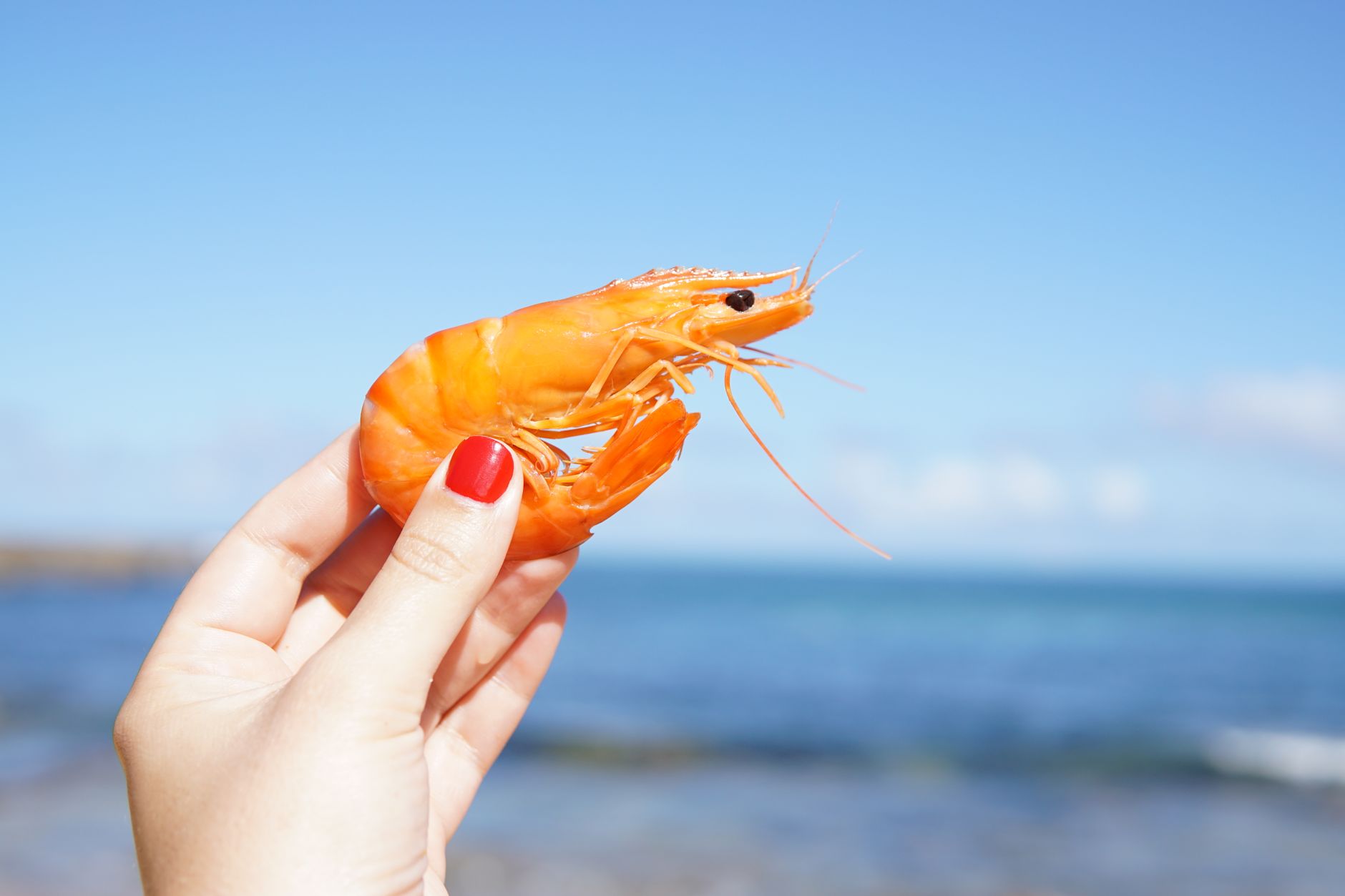 Món hải sản tươi ngon trên bãi biển
