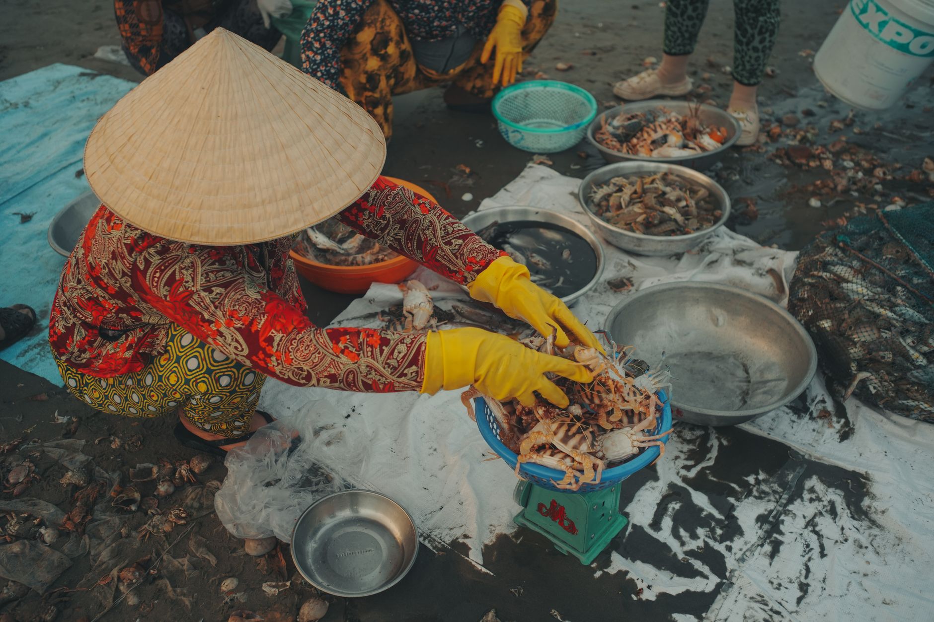 Hải sản tươi sống tại chợ Nha Trang gồm tôm hùm, cua ghẹ tươi ngon